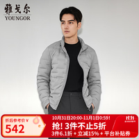 雅戈尔 羽绒服男立领羽绒服双层直充面料无胆充绒轻盈 浅灰YSYD435630ELA S 1