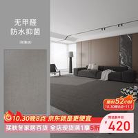 Y U-LIVE 地毯防水可擦免洗客厅2025卧室轻奢高级地毯法风奶油风大面积 硅藻丝-菠萝圈-中灰 200cm