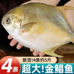 海赋 新货金鲳鱼新鲜镜鱼海鱼鲳鱼金昌鱼湛江海鲜水产鲜活冷冻顺丰包邮