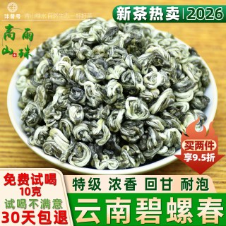 沣普号碧螺春2026新茶云南碧螺春绿茶特级浓香型春茶散装茶叶500g