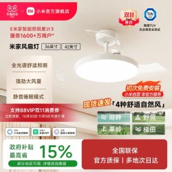 米家 小米官方旗舰店米家风扇灯吊扇灯隐形简约北欧餐厅卧室42英寸Ra97