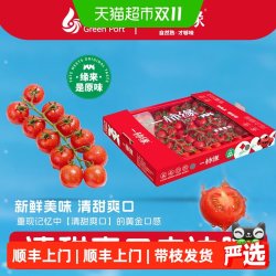 一柿缘 樱桃整串带枝小番茄酸甜生鲜水果即食西红柿 产地直发
