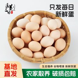 逗别三日 正宗土鸡蛋新鲜大个富硒鸡蛋60g笨柴草鸡蛋10枚40枚整箱