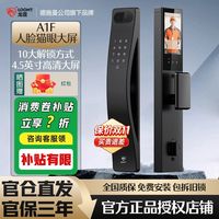 德施曼 龙霆 A1F 人脸猫眼大屏锁 德施曼智能锁子品牌