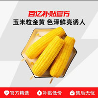 美农哥 东北甜糯玉米*8只（单只250g以上） 真空包装 新鲜根茎类蔬菜