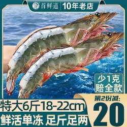 首鲜道 大虾基围虾鲜活速冻超大特大海虾新鲜对虾水产王牌盐冻青岛白虾类