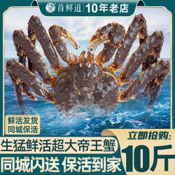 首鲜道 鲜活帝王蟹俄罗斯帝皇蟹阿拉斯加皇帝蟹海鲜鲜活大螃蟹礼