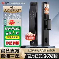 德施曼 龙霆 A1F 人脸猫眼大屏锁 德施曼智能锁子品牌
