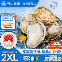 乳山牡蛎 鲜活乳山生蚝2XL 净重3斤 9-12只 生鲜海鲜 送礼 源头直发
