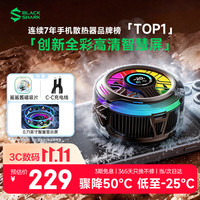 黑鲨 6 Pro 磁吸半导体散热背夹 黑色