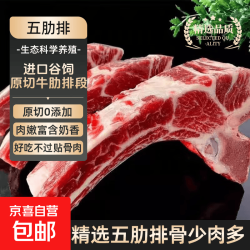 安格斯原切牛肋骨原切牛排骨牛肉带骨牛肋排食材进口牛肋排减脂餐 原切牛肋排净重4斤