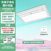 雷士 厨房凉霸照明吹风一体 两档摆叶+负离子净化