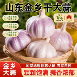 暖火 山东金乡新蒜大蒜头干蒜紫皮蒜新鲜颗粒生鲜蔬菜发芽种植当季