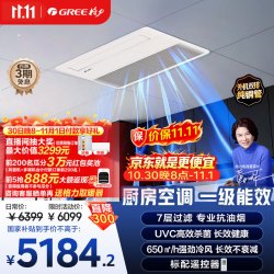 格力 中央空调 厨房空调 小凉神厨享1.5匹一级能效 单冷带水泵FG3.5Pd/Cf3(S)Na-N1