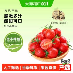 千禧 圣女果千禧小番茄超甜新鲜自然熟西红柿生吃水果现摘