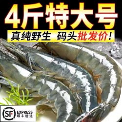 海捕大虾对虾虾子海虾特大新鲜超大虾冷冻野生大虾整箱青虾白虾