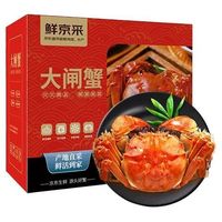 鲜京采 鲜活大闸蟹 全母蟹1-1.3两 10只 无绳足重 死蟹少秤包赔