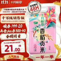 十月稻田 香稻贡米 5kg