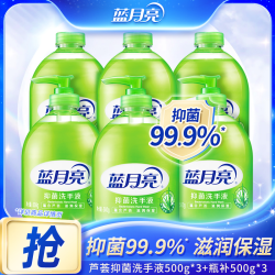 蓝月亮 芦荟抑菌洗手液家庭套装 温和滋润留香家用实惠
