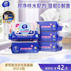 维达 湿厕纸 家庭装 80片*5包