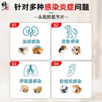 修正新关爱 宠物消炎药狗狗猫咪用皮炎泌尿感染尿道炎头孢羟氨苄片