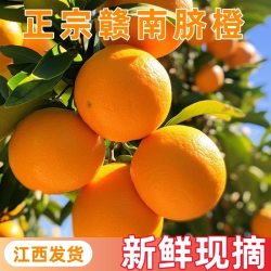 正宗江西赣州赣南脐橙新鲜薄皮橙子整箱水果批发精品大果