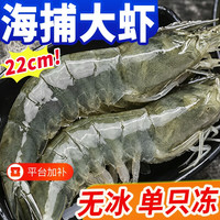 渔哥头等舱 大虾鲜活特大号基围虾青岛海鲜生鲜冻虾白虾水产王牌速冻冷冻新鲜