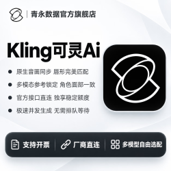 Kling-v3-Omini可灵视频Api【20额度】