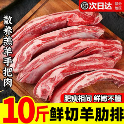 果果巴巴 鲜切手抓羊肋排新鲜羊排内蒙散养羔羊肉现切手把羊肉冷冻商用批发