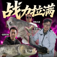 领路人 刺客黑坑鲢鳙鱼竿王者手竿巨物竿二代钓鱼竿手杆轻量大物竿