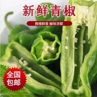 新鲜青尖椒超市生鲜蔬菜下饭菜虎皮尖椒鸡蛋伴侣 山东特惠净重1.3斤