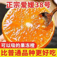 京典光年 四川爱媛38号果冻橙 净重4.5斤70mm+