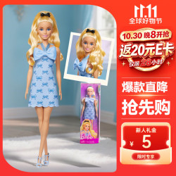 Barbie 女孩玩具生日礼物娃娃玩具芭比时尚达人系列—法式蝴蝶倩影HYT93