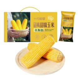 十月稻田 黄甜糯玉米 10根 4.4斤