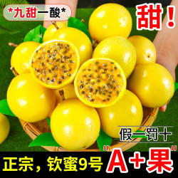 正宗钦蜜9号黄金百香果当季大果新鲜纯甜白香果原浆黄晶果酱包邮