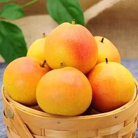 BERRY BRIGADE 正宗鞍山特产南果梨新鲜水果当季东北辽宁顺丰 大果5斤25枚