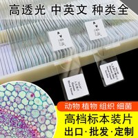 睿鸿 标本-25 生物显微镜标本观察切片套装（定制-联系后再拍）