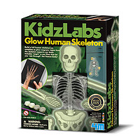 4M Glow Human Skeleton 夜光人体骨架