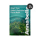 移动专享：Annabella 安娜贝拉 海藻面膜 10片装*2盒