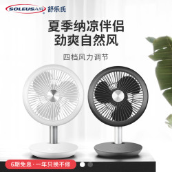 舒乐氏 桌面usb小风扇 602TFG 可充电