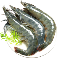 澳角大厝 青岛大虾 250g