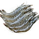 PLUS会员：单只18-20厘米青岛大虾 15-20只  250g