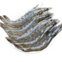 单只18-20厘米青岛大虾 15-20只 250g