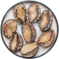 澳角大厝 青岛鲜冻鲍鱼 200g【 约7头/袋】