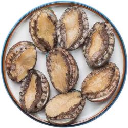 澳角大厝 青岛鲜冻鲍鱼 200g【 约7头/袋】