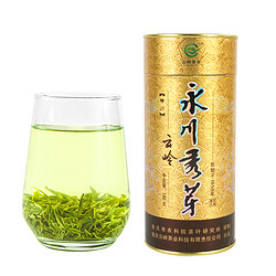 YUNLING TEA 云岭茶业 永川秀芽 特川 绿茶 100g