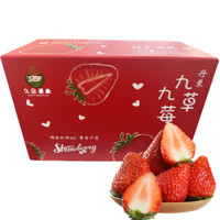 PLUS会员：鑫久盈 红颜奶油丹东99草莓 天然果型3斤（25g-55g）　